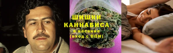 PSILOCYBIN Семилуки