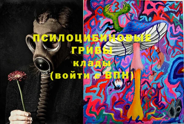 PSILOCYBIN Семилуки