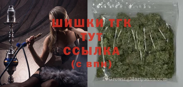 PSILOCYBIN Семилуки