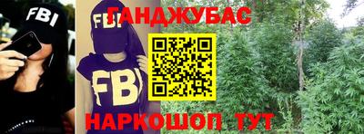 прущие крисы Гусев