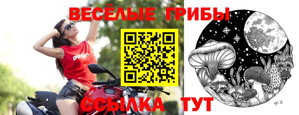 Псилоцибиновые грибы Psilocybine cubensis Коломна