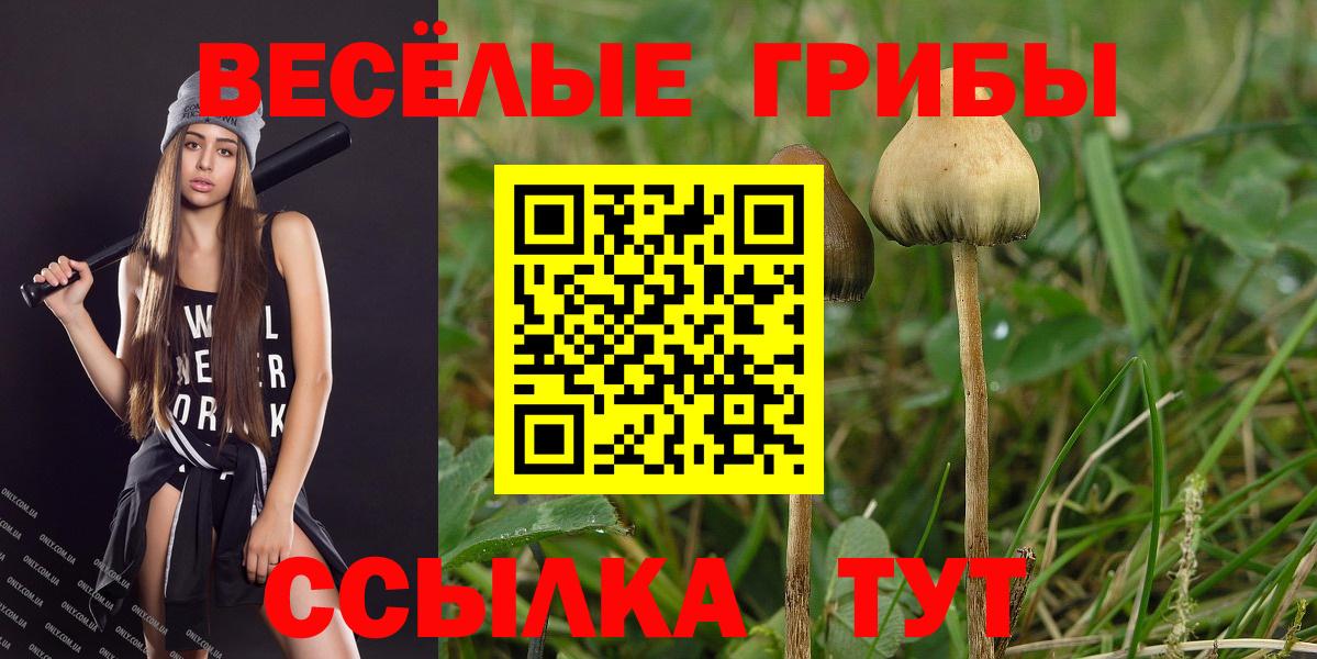 Псилоцибиновые грибы Magic Shrooms  Вход с VPN  Коломна 